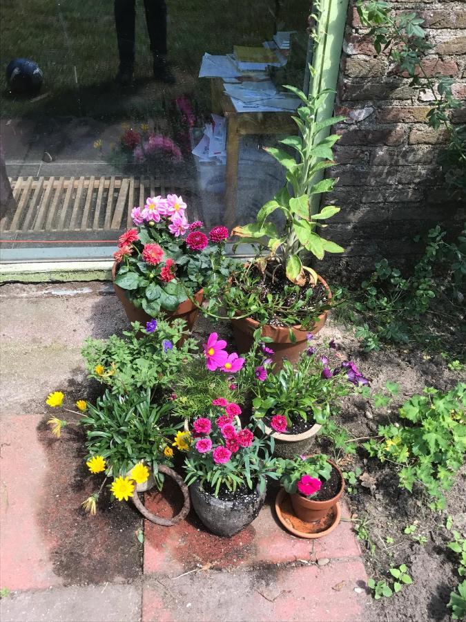 Overasselt B&B Van Beijden מראה חיצוני תמונה